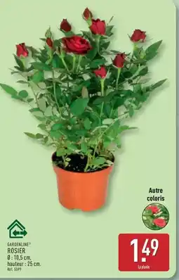 ALDI Gastronome - rosier offre
