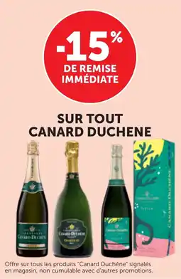 Bi1 Sur tout canard duchene offre