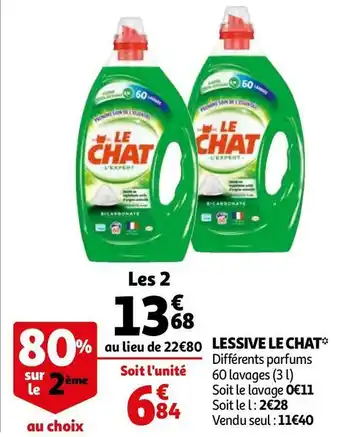 Le chat lessive*