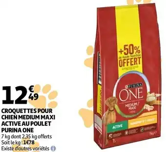 Auchan Purina one croquettes pour chien medium maxi active au poulet offre