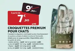 Bricomarché Croquettes premium pour chats offre