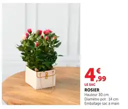 Bi1 Rosier offre