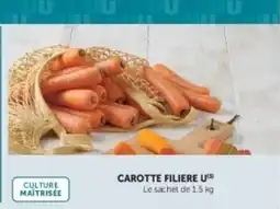 U Express Carotte filiere u offre