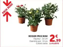 U Express Rosier prix mini offre