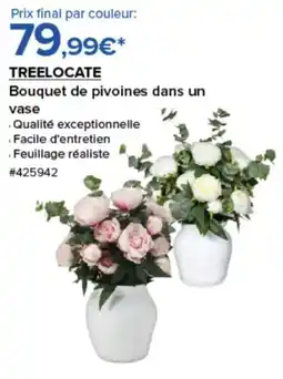 Costco TREELOCATE Bouquet de pivoines dans un offre