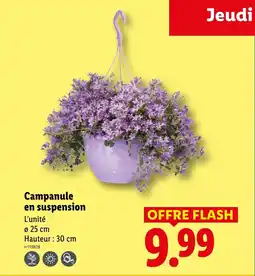 Lidl Campanule en suspension offre