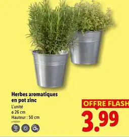 Lidl Herbes aromatiques en pot zinc offre