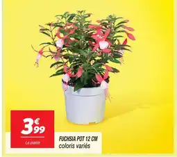 Netto Fuchsia pot 12 cm offre