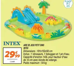 Netto Intex aire de jeux petit dino offre