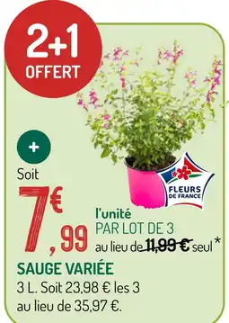 Botanic Sauge variée offre
