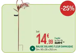 Botanic Balise solaire fleur damasque offre