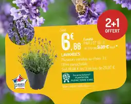 Botanic Lavandes offre