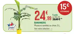 Botanic Bananier offre