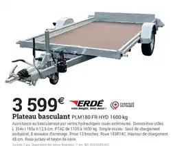 Espace emeraude ERDE Plateau basculant offre