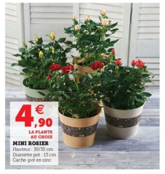 Super U Mini rosier offre
