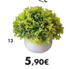 E.Leclerc Succulente 3 coloris disponibles pot en plastique blanc brillant offre