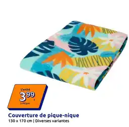 Action Couverture de pique-nique offre