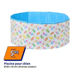 Action Piscine pour chien offre