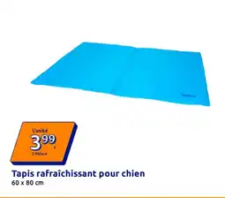 Action Tapis rafraîchissant pour chien offre