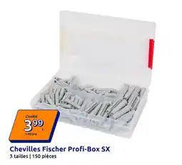Action Chevilles fischer profi-box sx offre
