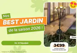 L'incroyable Lampe solaire 6 branches boules led offre