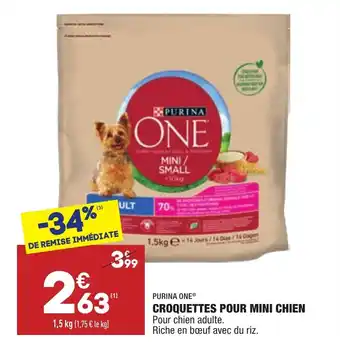 Croquettes pour mini chien