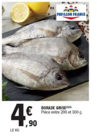 Dorade grise