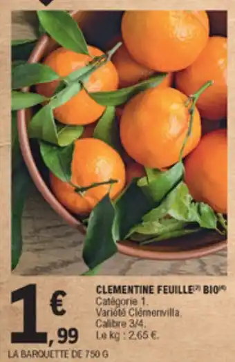 E.Leclerc Clementine feuille bio offre