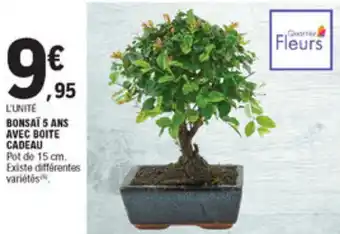 E.Leclerc Bonsaï 5 ans avec boite cadeau offre