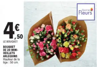 E.Leclerc Bouquet de 20 mini-oeillets arlequins offre