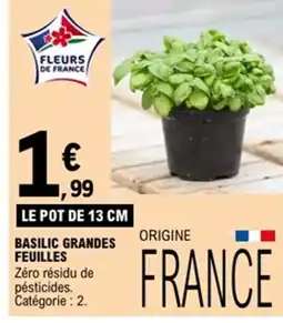 E.Leclerc Basilic grandes feuilles offre
