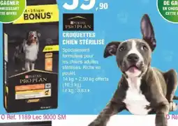 E.Leclerc Jardi CROQUETTES CHIEN STÉRILISÉ offre