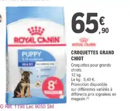 E.Leclerc Jardi CROQUETTES GRAND CHIOT offre