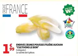 Auchan Endives jeunes pousses filière auchan cultivons le bon offre