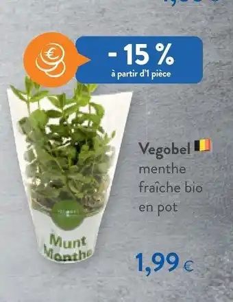Colruyt Vegobel Menthe Fraîche Bio En Pot offre