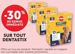 Maximarché SUR TOUT DENTASTIX offre