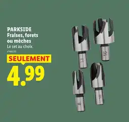 Lidl Parkside fraises fraises, forets ou mèches offre