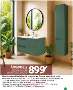 Mr Bricolage Meuble de salle de bain à suspendre Econic vert forêt mat offre