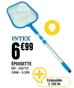 La Foir'Fouille INTEX Épuisette offre