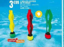 La Foir'Fouille 3 balles lestées de plongee offre