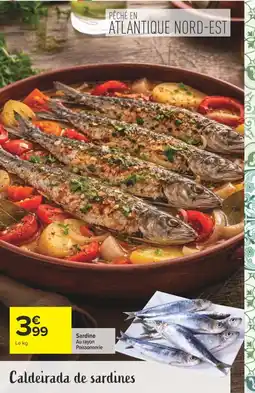 Carrefour Sardine offre