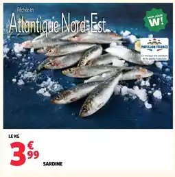 Auchan Pavillon france sardine offre
