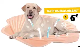 GiFi Tapis rafraîchissant offre