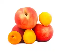 Auchan Supermarché Sans marque pêches, nectarines ou abricots mûrs à point offre