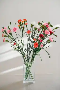 Auchan Supermarché Sans marque foire aux bouquets offre