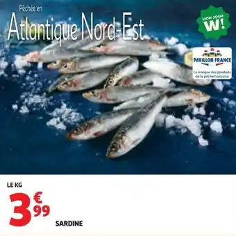 Auchan Sardine offre