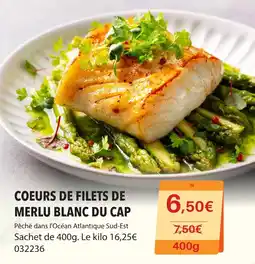 Gel 2000 COEURS DE FILETS DE MERLU BLANC DU CAP offre