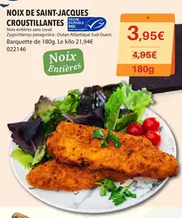 Gel 2000 NOIX DE SAINT JACQUES CROUSTILLANTES DURABLE offre