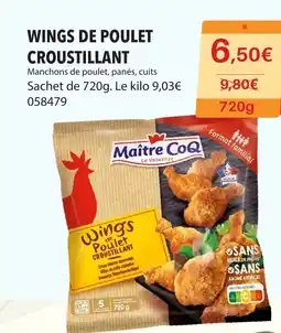 Gel 2000 WINGS DE POULET CROUSTILLANT offre