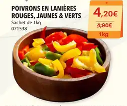 Gel 2000 POIVRONS EN LANIÈRES ROUGES, JAUNES & VERTS offre